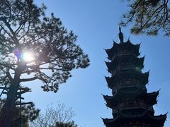 -龙华寺