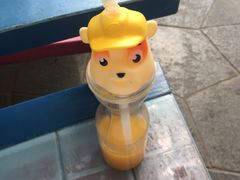 -南宫五洲植物乐园