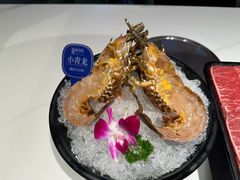 -海月轩海鲜豆捞(紫金塔店)