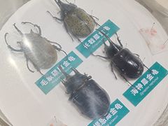 -陕西自然博物馆