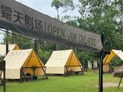-芭厘农庄老字号·清远鸡