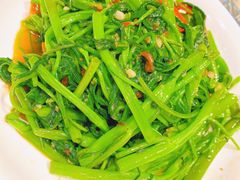 马拉盏炒通菜-今之味南亚厨房·探店指南(领展购物广场店)