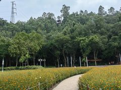-顺峰山公园