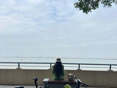 -大湾区中央湿地公园