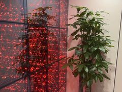-W·24H茶楼·棋牌·掼蛋(望京店)
