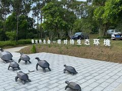 -广东惠东海龟国家级自然保护区