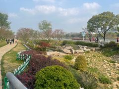 -羊山湖公园