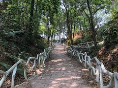 -田野绿世界
