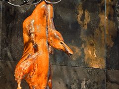 -四季民福烤鸭店(东四十条店)