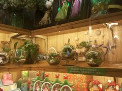 -妃比花艺(光启城时尚购物中心店)