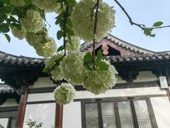 -常熟方塔园