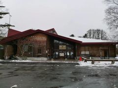 -钏路市丹顶鹤自然公园