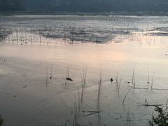 -北岐滩涂