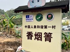-野象谷景区