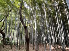 -同里国家湿地公园