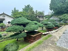 -水绘园