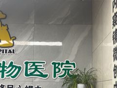-半岛宠物医院24小时(白果林店)