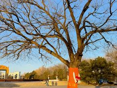 -朝阳公园游乐园