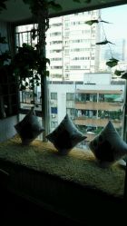 -BM SALON