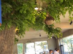 大堂-天怡·鱼工厂(梅溪湖店)