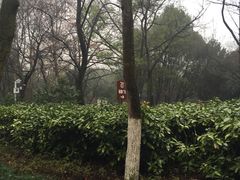 -赭山公园
