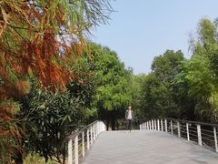-同里国家湿地公园