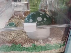 -FAELING PETS美天灵宠物(合生汇店)