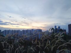 -白石龙音乐公园