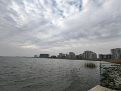 -碧海金沙