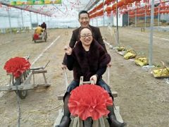 -米果果小镇