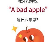 -菠萝国际教育留学·AL·IG·IB·AP·雅思托福(静安校区)