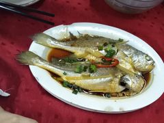 -蛇口康乐快餐鱼仔档(翠苑小区店)