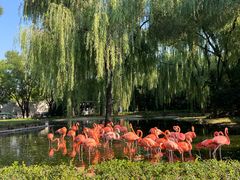 -辛玛王国游乐园