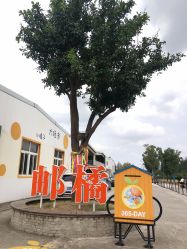 -前小桔亲子创意农场·草莓采摘·露营烧烤