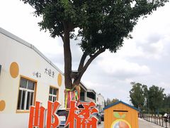 -前小桔亲子创意农场·草莓采摘·露营烧烤