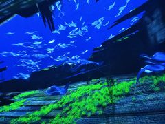 -海合安成都极地海洋公园