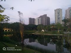 -四海公园(南山区)
