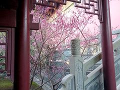 -瑞幸咖啡(平安滨江金融中心店)