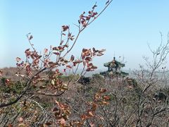 -北京西山国家森林公园