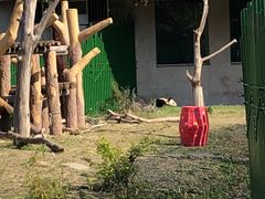 -沈阳森林动物园