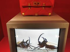 -上海当代艺术博物馆