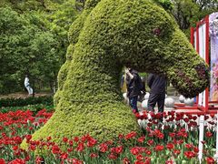 -沈阳植物园