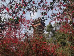 -塔子山公园