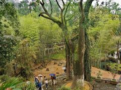 -岳麓山风景名胜区