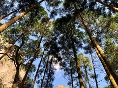 -雁荡山大龙湫景区