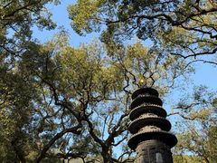 -普陀山风景名胜区-法雨禅寺