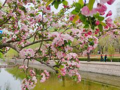 -元大都城垣遗址公园