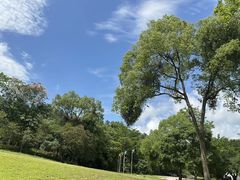 -南宁良凤江国家森林公园