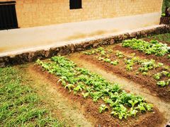 -韶山毛泽东同志故居