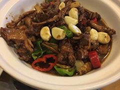 -龙小海荆沙鸽子店(瑞安街店)